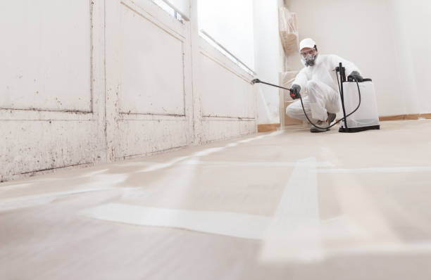 24/7 Emergency Basement Mold Removal experts in Nottingham, MD