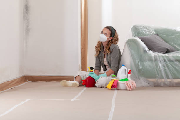 Reliable Basement Mold Removal contractor in Nottingham, MD by WQB Mold Removal
